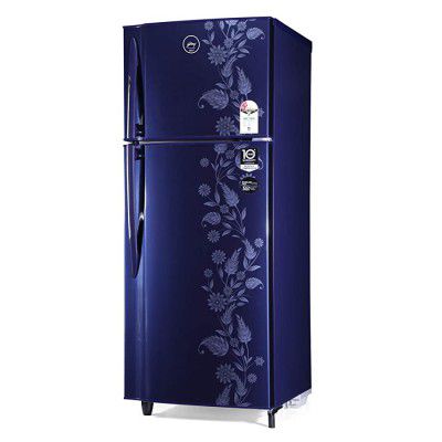 Godrej 255 L Frost Free Double Door 2 Star Refrigerator (RF EON 255B 25 HI RY DR)