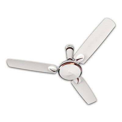 Bajaj Sintelle EE 1200 Mm Ceiling Fans