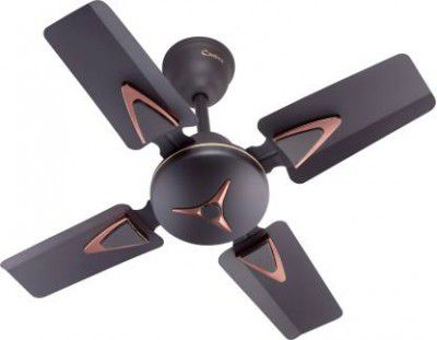 Candes Figo 600 mm Anti Dust 4 Blade Ceiling Fan  