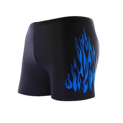 Cockatoo Flame Print Light Weight Dry Fit Active Wear Men,Sport Shorts for Men