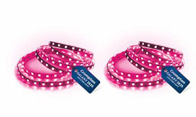 Crompton 5 meter Strip Light Pink 300 LEDs (Pack of 2) (without Driver)