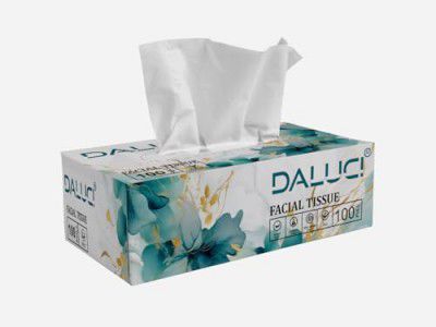 DALUCI 2 Ply Facial Tissue Box Car Tissue (1 Boxes (100 Pulls))