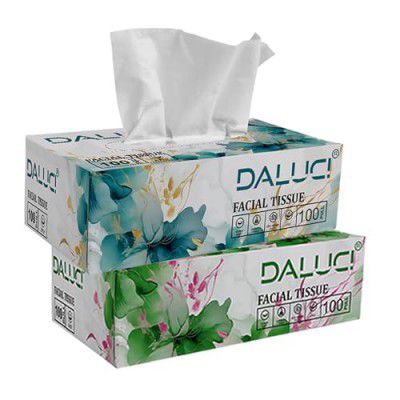 DALUCI 2 Ply Facial Tissue Box Car Tissue (2 Boxes (200 Pulls))