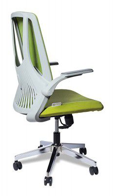 Dr Luxur Posh All Day Comfort Ergonomic Office, Gaming Chair 