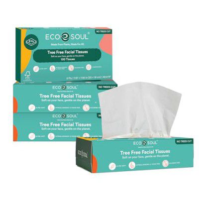 ECO SOUL [2 Ply, 100 Pulls] Tree-Free Paper Facial Tissue | Pack of 1 (100 Pulls Per Pack) | Ultrasoft & Highly Absorbent | Eco Friendly, Natural, Biodegradable | Everyday Facial Tissue