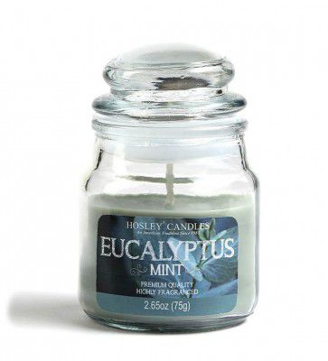 Eucalyptus Mint Aroma Scented Candle