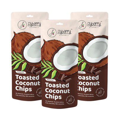 Flyberry Gourmet Toasted Coconut Chips with Cocoa 90g (Pack of 3x30g)