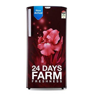 Godrej 180 L 4 Star Direct Cool Single Door Refrigerator (RD EDGENEO 207D THF AQ WN)