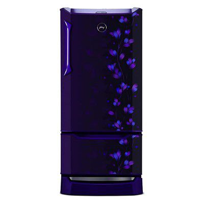 Godrej 255 L 3 Star Inverter Direct-Cool Single Door Refrigerator (RD EDGEDUO 270C 33 TDI JD PR)