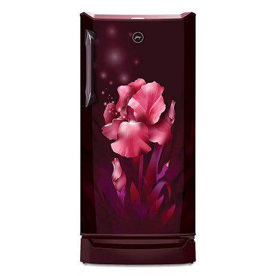 Godrej 215 L 4 Star Inverter Direct-Cool Single Door Refrigerator (RD UNO 2154 PTDI AQ WN)