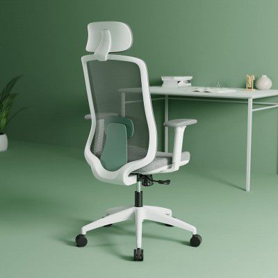 Green Soul Cosmos Premium Office Chair Mesh Ergonomic Home Office Desk Chair  