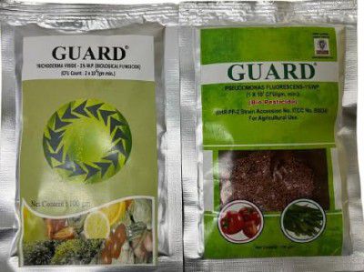 Guard Trichoderma viride Seed coating powder for acidic soil quick germination healthy plants (100 gm)