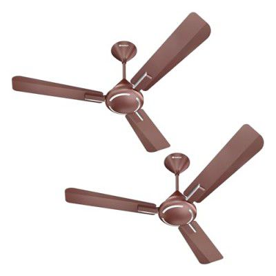 Havells 1200mm Ambrose ES Ceiling Fan | 2 Year Warranty | (Pack of 2, Nickel Pearl Brown)