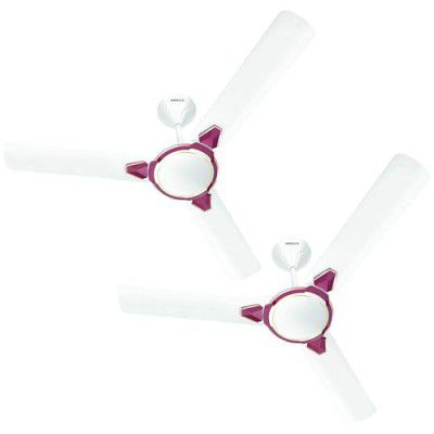 Havells 1200mm Equs ES Ceiling Fan | Premium Finish, Decorative Fan (Pack of 2, White Maroon)