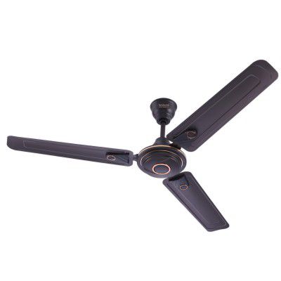 Hindware Smart Appliances Caeli Brown Star rated Ceiling Fan