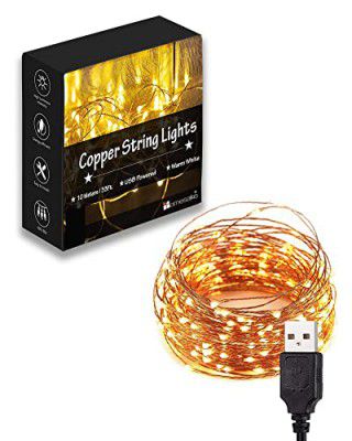 Homesake® 10M Fairy Lights 100 LED 33 FT Christmas Lights USB Powered Silver Wire String Lights (10M USB Pack of 1)