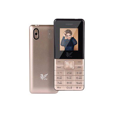 iAir Basic Feature Dual Sim Mobile Phone (iAirFPD12, Gold)