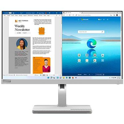 Lenovo L-Series L24m-40 FHD IPS Ultraslim Monitor