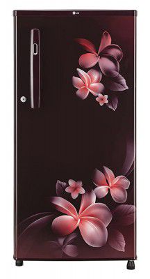 LG 190L 2 Star Direct-Cool Single Door Refrigerator (GL-B199OSPC)