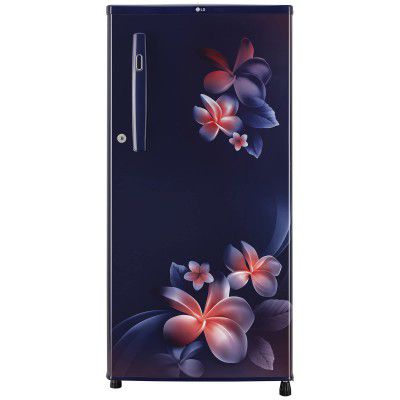 LG 190L 1 Star Direct-Cool Single Door Refrigerator (GL-B199OBPB)