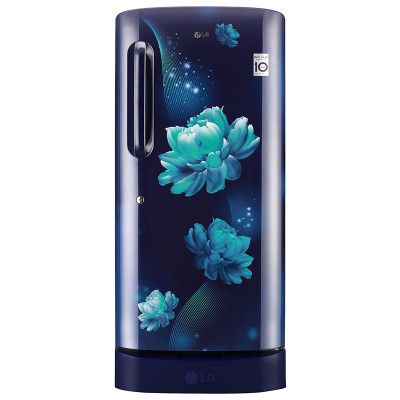 LG 215 Litres 4 Star Direct Cool Inverter Single Door Refrigerator (GL-D221ABCY.DBCZEB)