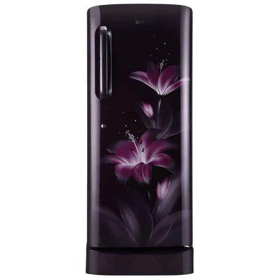 LG 235 Litres 3 Star Direct Cool Inverter Single Door Refrigerator (GL-D241APGD)