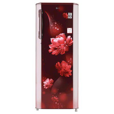 LG 270 Litres 3 Star Direct Cool Inverter Single Door Refrigerator (GL-B281BSCX.DSCZEB)