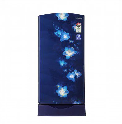 LLOYD 200 L 4 Star Base Stand Inverter Direct Cool Single Door Refrigerator (GLDF214SGBS1PB)