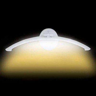 LUMINX Picture Light Wall Lamp With Bulb