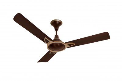 Orient Electric Kiara Shine 1200mm High Speed Ceiling Fan