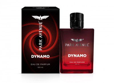 Park Avenue Dynamo Premium Perfume For Men 100ml