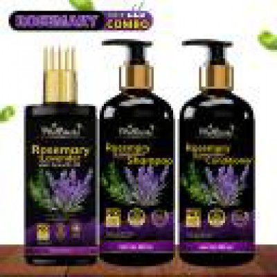 Phillauri Rosemary Essential Oil for Hair Growth|100% Pure & Natural for Hair Fall Control  (3 Items in the set)