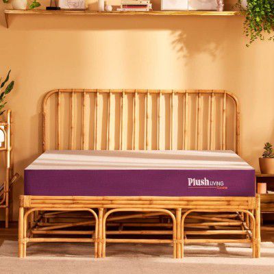 Plush Living Latex Mattress Bed Latex Mattress 