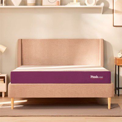 Plush Living Mattress Bed Mattress 