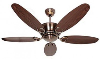 Polycab Superia SP04 1200 mm 5 Blade Ceiling Fan 