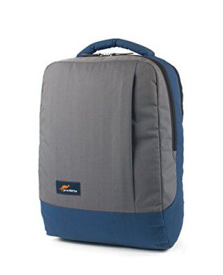 Protecta Type A Laptop Backpack for Laptops with Screen Size up to 15.6 Inches (Navy Blue & Grey)