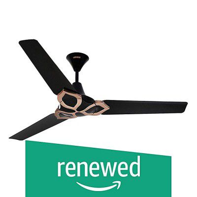 (Renewed) Luminous Jaipur Gangaur 1200Mm Ceiling Fan (Abu Black)