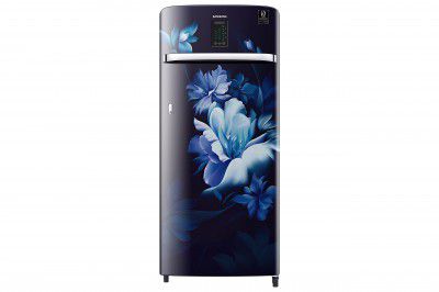 Samsung 220 L 4 Star Inverter Direct cool Single Door Refrigerator (RR23A2J3XUZ/HL)