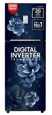 Samsung 236 L 2 Star Digital Inverter Frost Free Double Door Refrigerator (RT28C3452CU/HL)