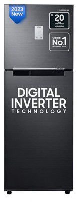 Samsung 236 L 2 Star Digital Inverter Frost Free Double Door Refrigerator (RT28C3452BX/HL)