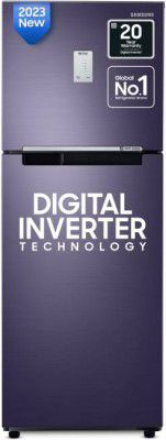 SAMSUNG 236 L Frost Free Double Door 2 Star Refrigerator with Digital Inverter with Display  (Pebble Blue, RT28C3452UT/HL)