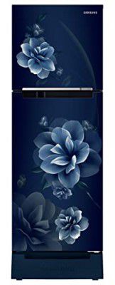 Samsung 236L 2 Star Inverter Frost-Free Double Door Refrigerator (RT28C3122CU/HL)