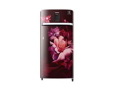 Samsung 192 L 4 Star Inverter Direct Cool Single Door Refrigerator(RR21A2J2XRZ/HL)