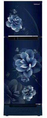 Samsung 253L 2 Star Frost-Free Double Door Refrigerator (RT28B3122CU/HL)