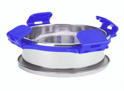 Signoraware All Steel Executive Small with Steel Lid Container