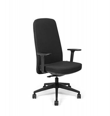 SOS Spacewood LiteOffice Aura High Back Nylon Base Ergonomic Office Chair (Black)