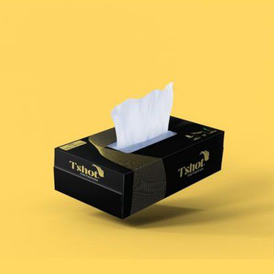 SR Facial Tissue Paper Box, (Each Pack 100 Tissue) Black Box (Pack Of 1)