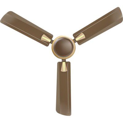 Standard Stellar Premium 600mm High Speed Anti Dust Decorative Ceiling Fan (Brown -Champ, Pack of 1)