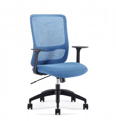 Sunon Office Chair Ergonomic Desk Computer Chair with Fixed Armrest Lumbar Support Adjustable Mid Back for Home Office (Blue, Nylon)