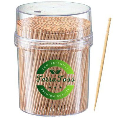 TerraToss Toothpicks Wooden | 1 Pack of 250 Toothpick Sticks | Reusable Container | Sturdy Smooth Finish Tooth Picks Sticks | Toothpick Wooden (250)